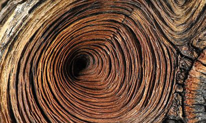 Wood Suppliers